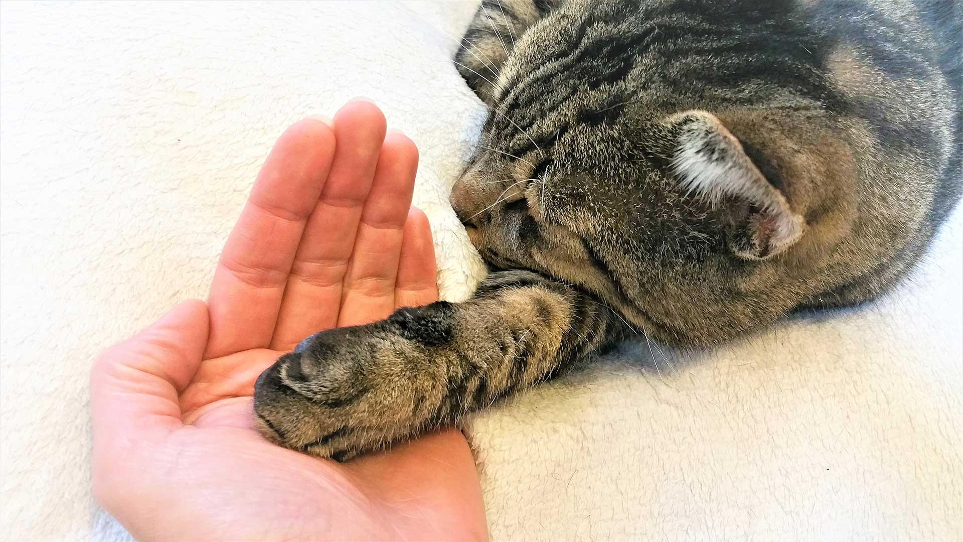 #
