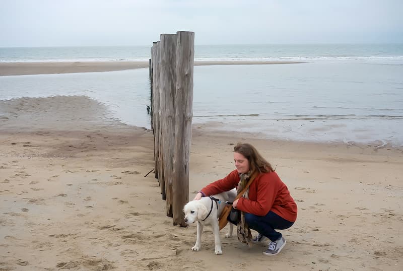 hond euthanasie gezelschapsdier euthanasie